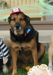 And more recently Kyra had the honor of dressing up like her adoptive papa who is a firefighter!