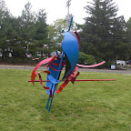CIMG0954.JPG