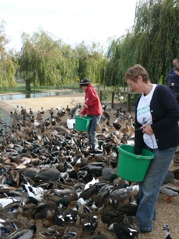 [P1080710%255B3%255D.jpg]