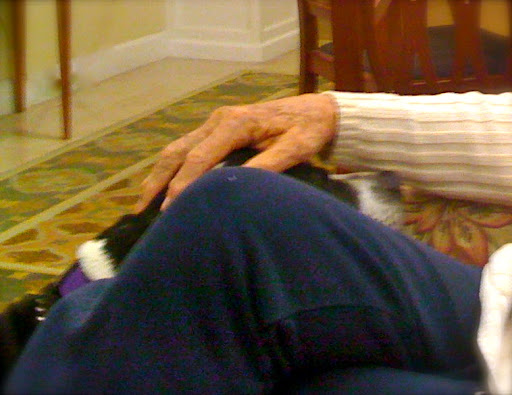Don rests his hand gently on the head of his pit bull friend! Don rests his hand gently on the head of his pit bull friend!