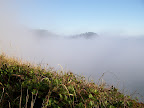 oregon_coast