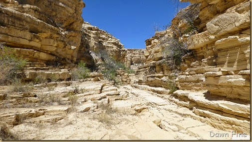 Terlingua rockhounding_112