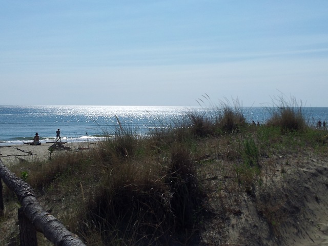 [20120715_0955413.jpg]