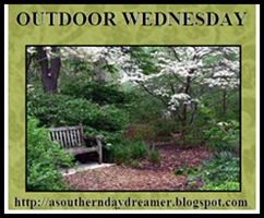 Outdoor Wednesday logo Outdoor Wednesday logo