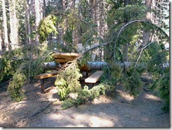 smashed table at Big meadows