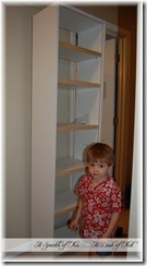 Freecycle Bookshelf for Closet Makeover {A Sprinkle of This . . . . A Dash of That} Freecycle Bookshelf for Closet Makeover {A Sprinkle of This . . . . A Dash of That}