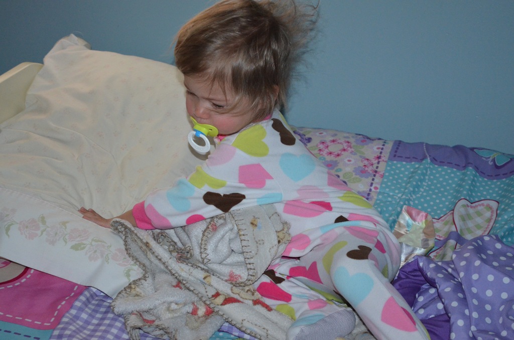 [DSC_0531%255B3%255D.jpg]