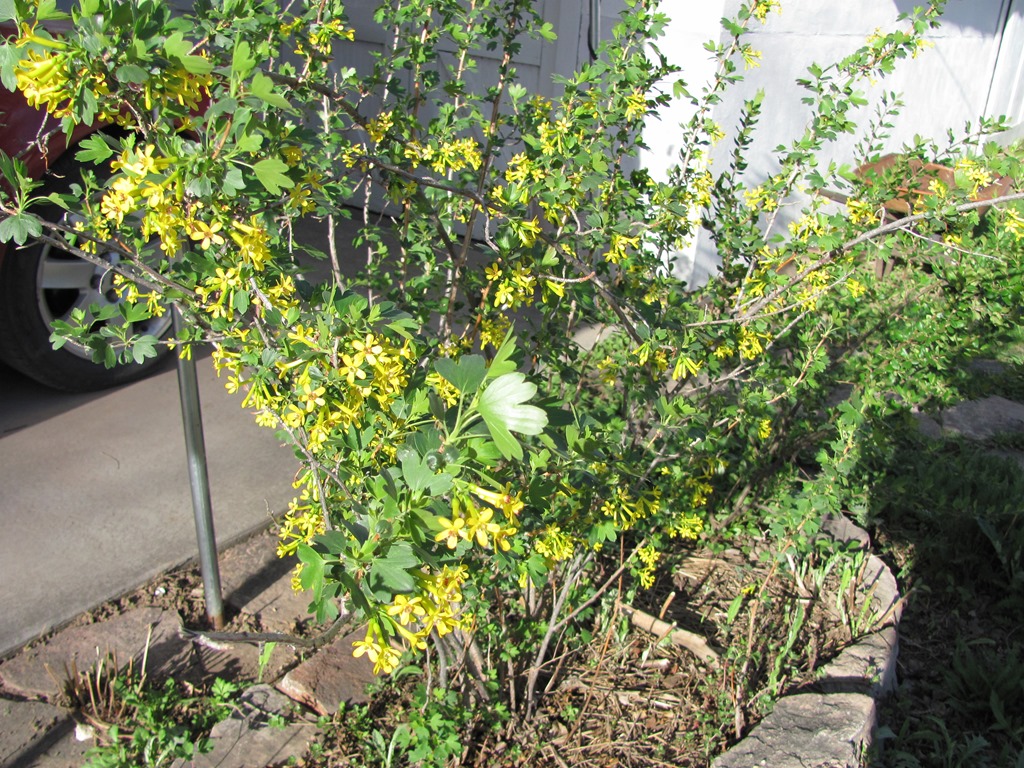 [IMG_4255%255B4%255D.jpg]