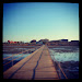 Sunny Brige