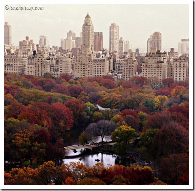 New-York-City-Fall_2 New-York-City-Fall_2