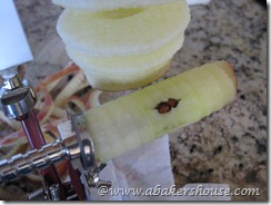 apple core apple core