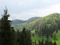 IMG_3074.JPG