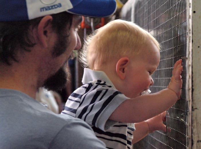 2. royal show