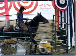 9774 Alberta Calgary Stampede 100th Anniversary - Cowboy Up Challenge Scotiabank Saddledome