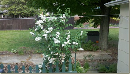 2013-05-20_16-40-10_459 2013-05-20_16-40-10_459