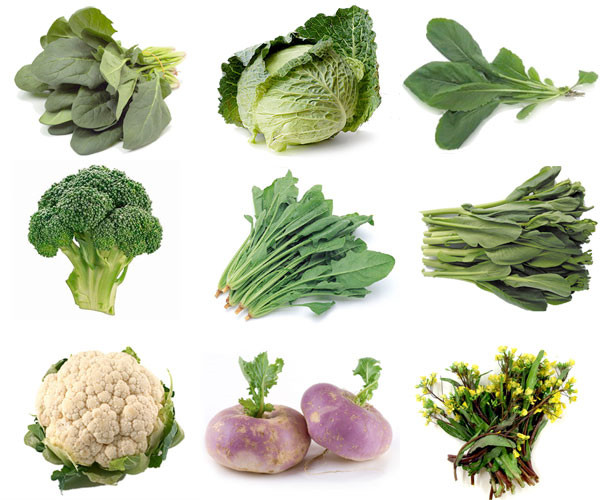 11 kinds of vegetables from Fukushima have radioactive materials above legal limit, 23 March 2011. From top to bottom, left to right: komatsuna (小松菜), cabbage, shinobufuyuna (信夫冬菜), broccoli, spinach (ホウレンソウ), santousai (山東菜), cauliflower, turnip (カブ), kousaitai (紅菜苔). timog.com