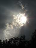 IMG_7401.JPG