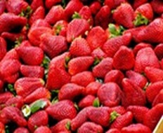 fraises_lady_smoothies