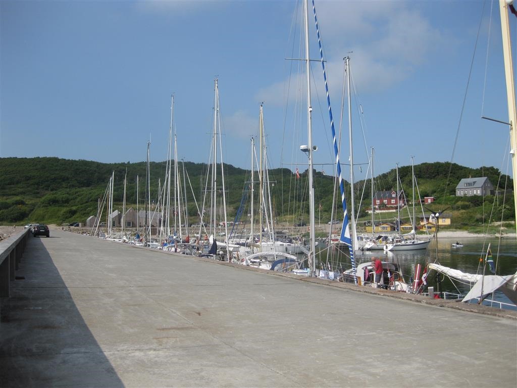 [IMG_2296-Medium3.jpg]