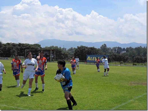 Sin título-6