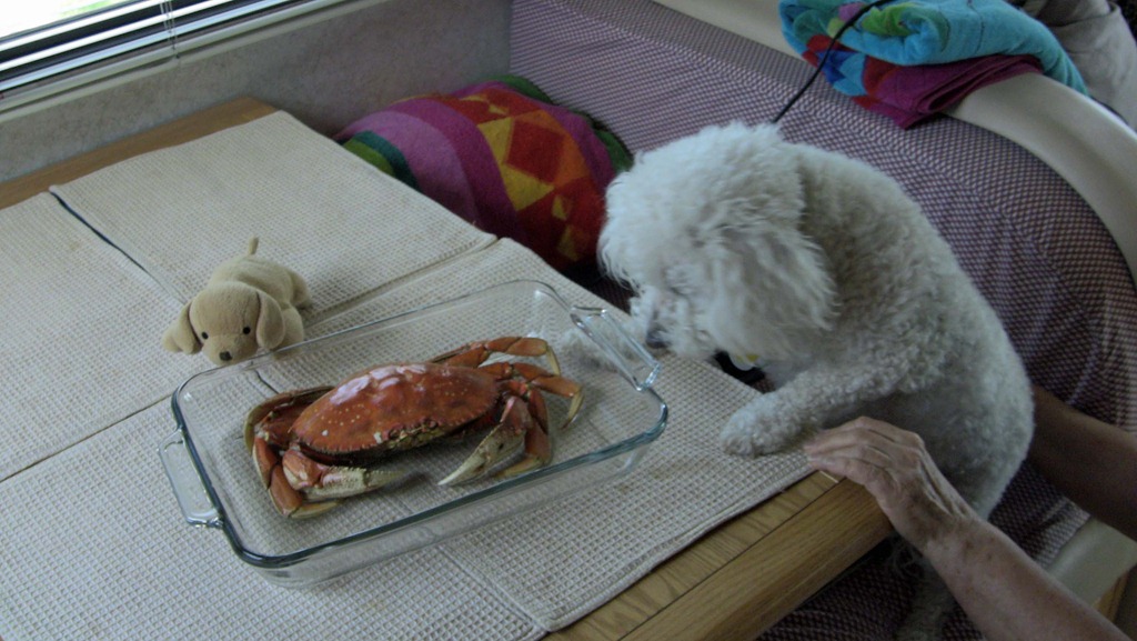 [IMG_0222%255B5%255D.jpg]
