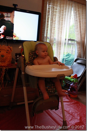 IMG_0310 IMG_0310