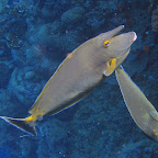 IMG_1268.JPG