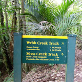 Coramandel forest park