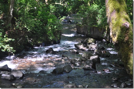 Touring the Gorge (waterfalls), Or 112