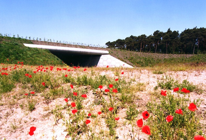 wildlife-crossings-9 wildlife-crossings-9