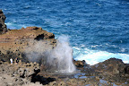 DSC_5278.JPG
