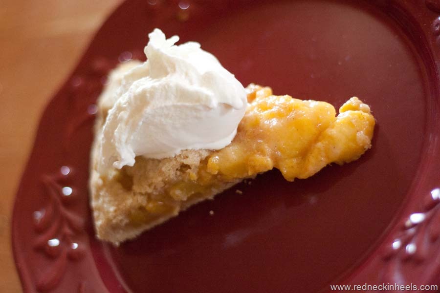 [redneckinheelspeachpie17%255B3%255D.jpg]