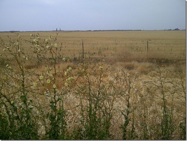 IMG-20120526-05543