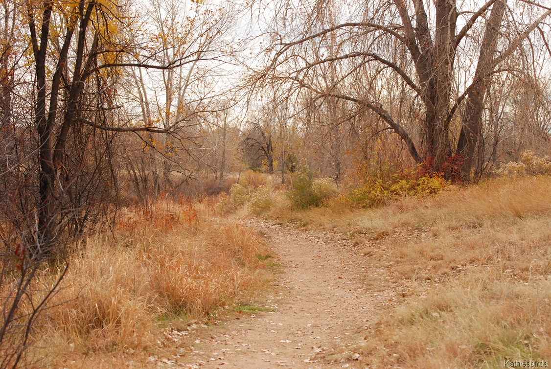 [10.%2520trail-kab%255B5%255D.jpg]