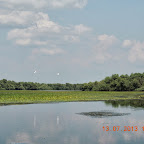 DSCN3020.JPG