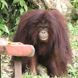 Maleisie 2007