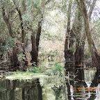DSCN2948.JPG