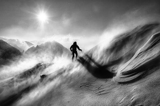 Tema Prosta_3N_Miljko_Lesjak_Srd_narave .jpg