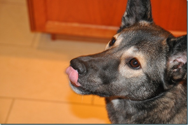 DSC_0163 DSC_0163
