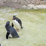 London Zoo May 14th