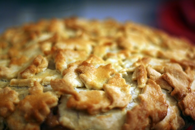 [IMG_8300_7564%255B2%255D.jpg]