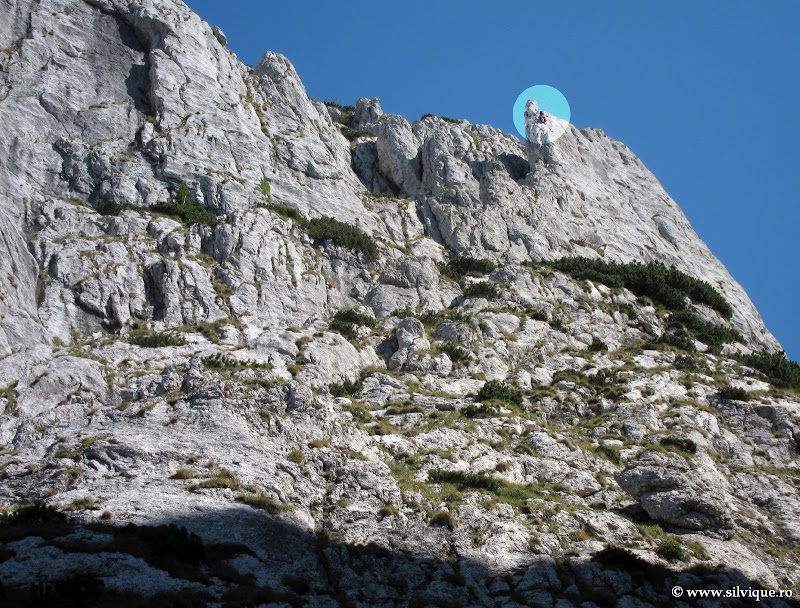 Muchia Bondarului in Crai