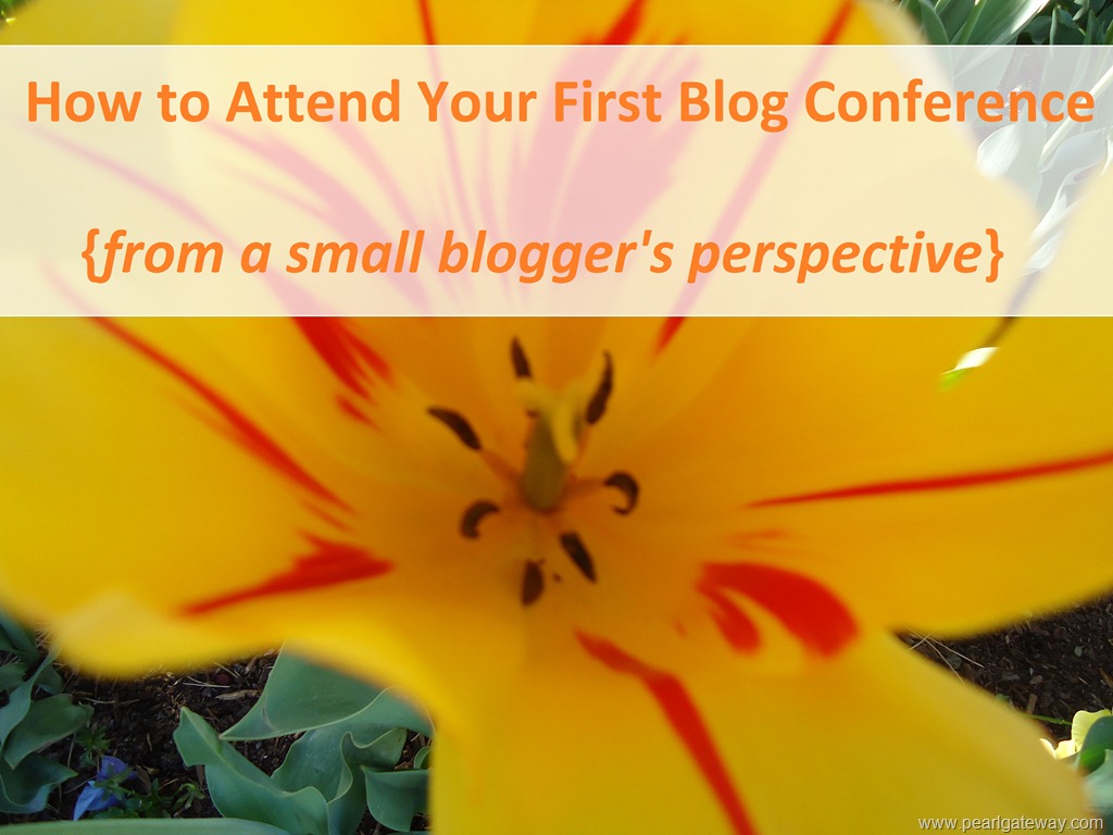 [How%2520to%2520Attend%2520Your%2520First%2520Blog%2520Conference%255B10%255D.jpg]