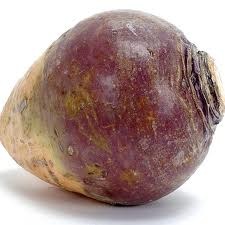 [rutabaga%255B3%255D.jpg]