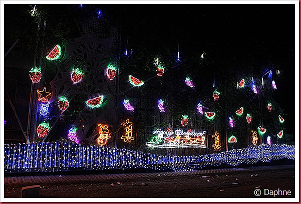 IMG_1630 IMG_1630
