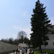 P1120963.JPG