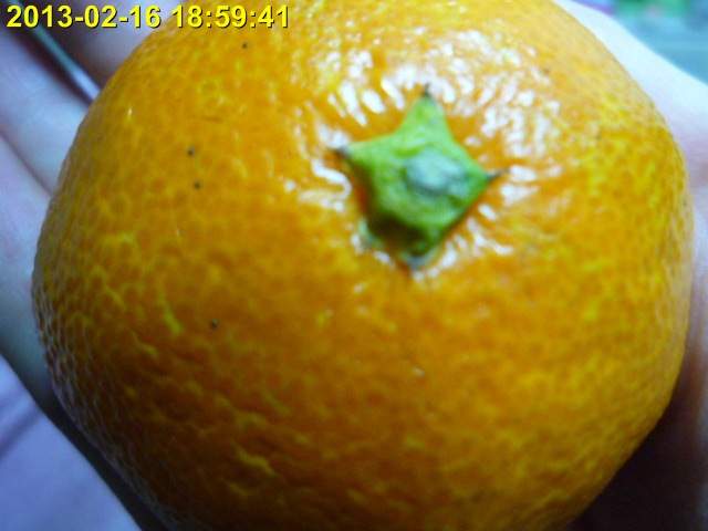 P1010098