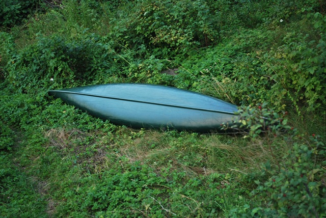 [SummerHouseJuly29CanoeinGarden3.jpg]