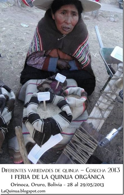 Variedades de semillas de quinua- Priimera Feria de la Quinua Orgánica - Orinoca, Sud Carangas, Oruro - Laquinua.blogspot.com Variedades de semillas de quinua- Priimera Feria de la Quinua Orgánica - Orinoca, Sud Carangas, Oruro - Laquinua.blogspot.com