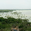 The view from the top stretches far, and if you went to any one of the spots you can see you'd be pretty certain of a mosquito feeding frenzy.